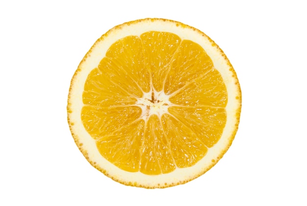 Fatia de laranja suculenta em fundo branco