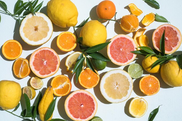 Fatias frescas de diferentes tipos de toranja laranja limão limão