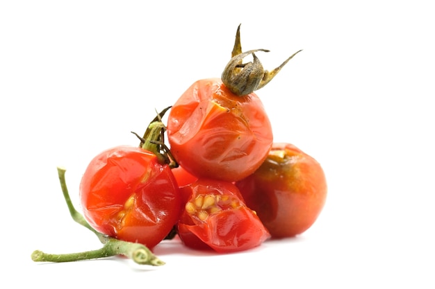 Foto faule tomaten auf dem weißen hintergrund