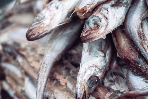 Fauler Fisch auf dem Markt.