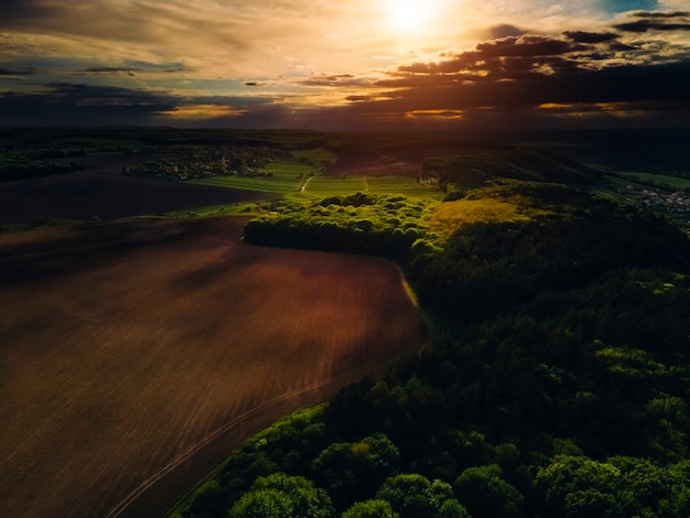 Fauna desde arriba. Atardecer