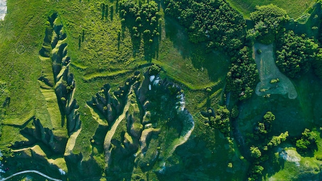 Fauna en primavera disparando desde un dron