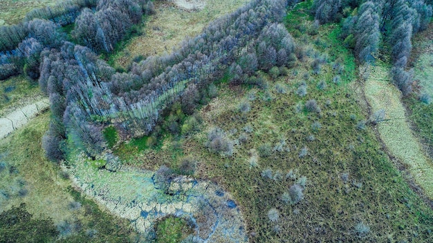 Fauna en primavera disparando desde un dron