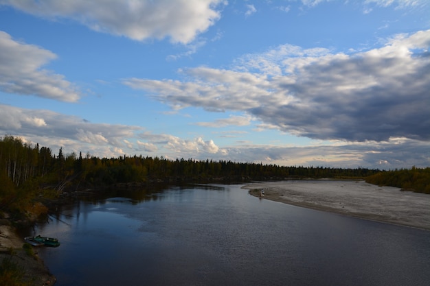 Fauna del Ártico. Paisaje otoñal. Okrug autónomo de Yamalo-Nenets.