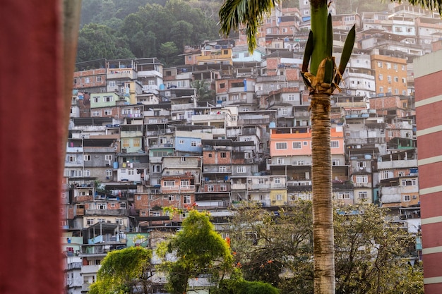 Foto favela da rocinha no rio de janeiro, brasil - 26 de agosto de 2021: favela da rocinha, vista do bairro da gávea no rio de janeiro.