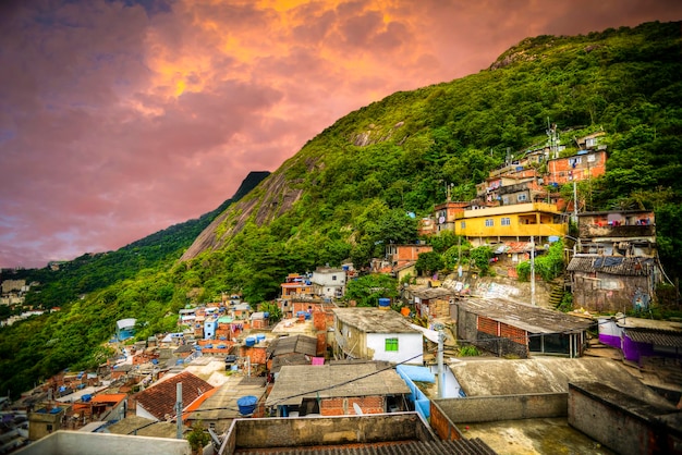 favela