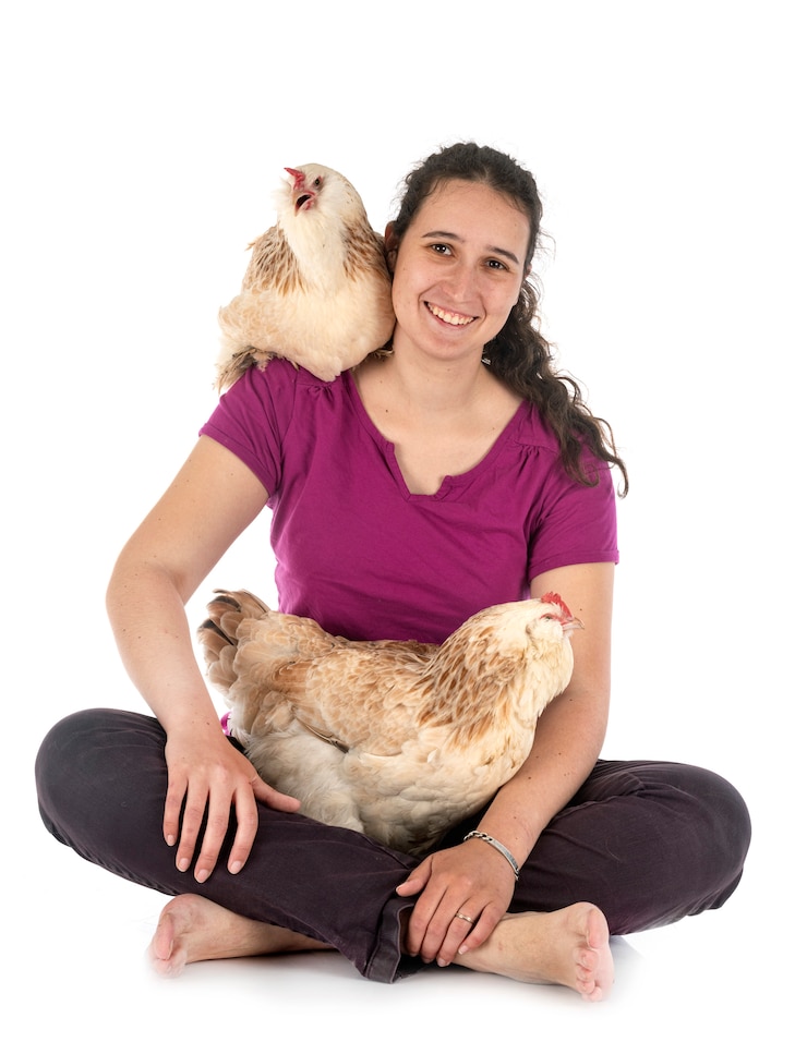 Foto faverolles frango e mulher