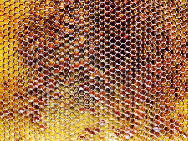 Foto favo de mel de cera de textura hexágono de fundo de uma colmeia de abelhas