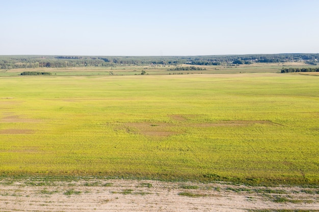 fazenda campo agricultura visão de cima tiroteio drone