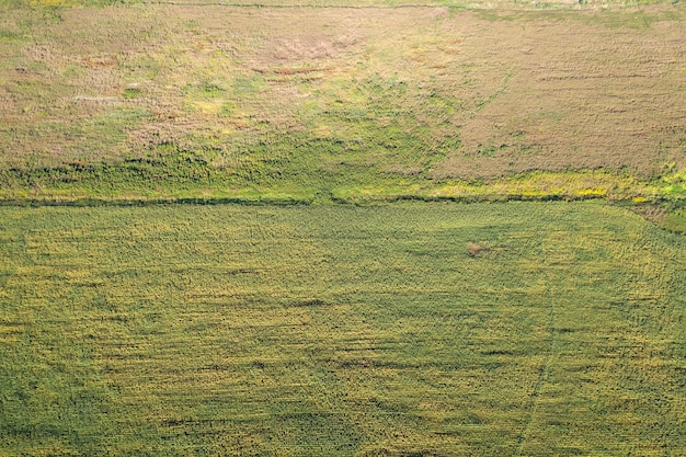 fazenda campo agricultura vista de cima drone atirando vista de cima