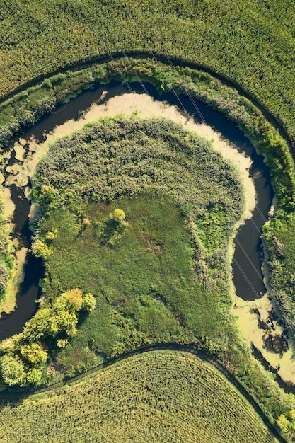 fazenda campo agricultura vista de cima drone atirando vista de cima