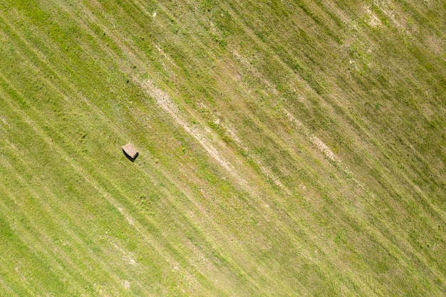 Fazenda campo agricultura vista de cima drone atirando vista de cima