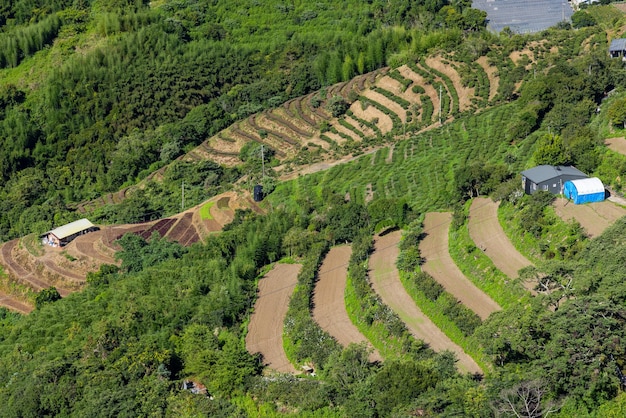 Foto fazenda de cingjing em nantou, taiwan