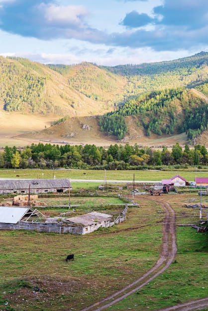 Fazenda de gado na vila vista superior da montanha Altai da Rússia, vila de BichiktuBoom