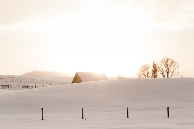 Fazenda de inverno em Steamboat Springs, Colorado.