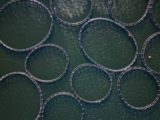 Fazenda de peixes de salmão na vista aérea do rio