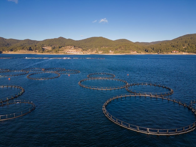 Fazenda de peixes de salmão na vista aérea do rio