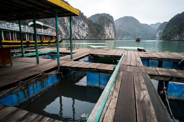 Fazenda de peixes flutuantes em ha long bay vietnã produção de peixes e mariscos no mar