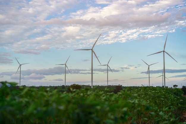 Fazenda de turbinas eólicas. Energia limpa, energia renovável e desenvolvimento sustentável.