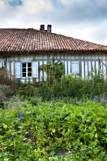 fazenda francês