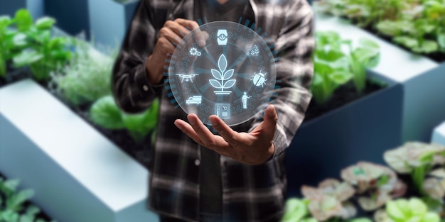 Foto fazenda inteligente moderna controlada por tecnologia os agricultores estão monitorando o crescimento das árvores nas parcelas