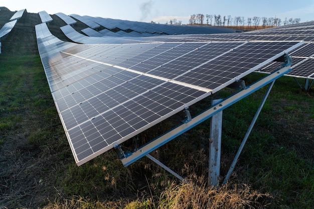 Fazenda rural de energia com painel solar