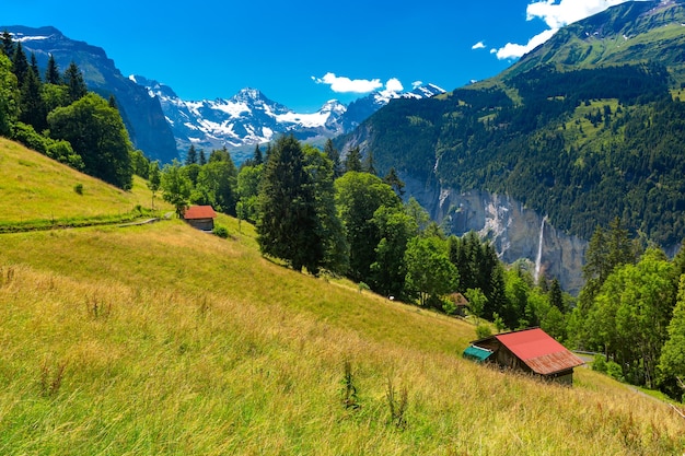 Fazenda suíça perto da aldeia de montanha Wengen, Bernese Oberland, Suíça. O Jungfrau é visível no fundo