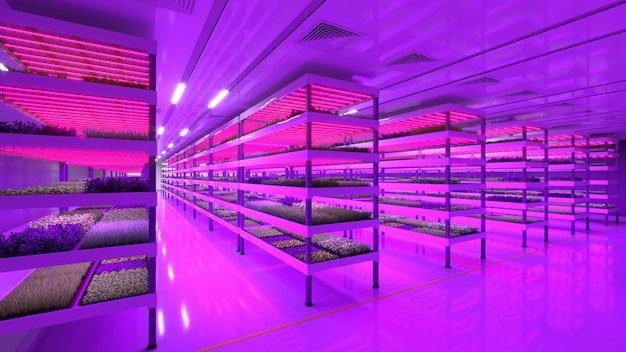 Fazenda vertical interna Fábrica de plantas de microverdes hidropônicos As plantas crescem com luzes led Agricultura sustentável para ilustração 3d de alimentos futuros