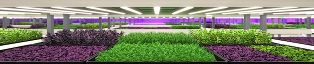 Fazenda vertical interna Fábrica de plantas de microverdes hidropônicos As plantas crescem com luzes led Agricultura sustentável para ilustração 3d de alimentos futuros