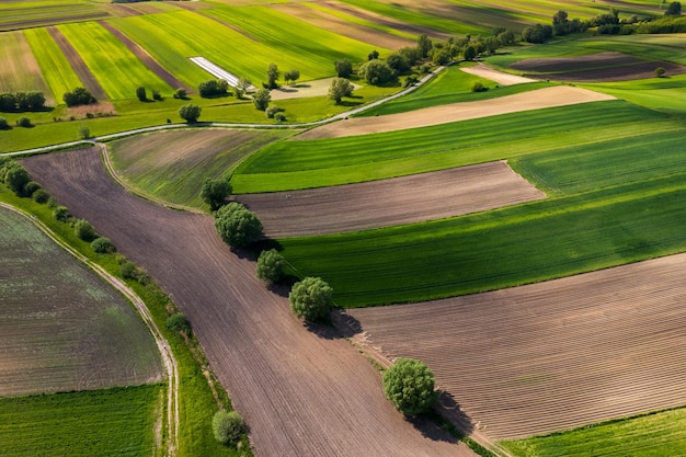 Fazendas coloridas e paisagem agrícola na Polônia na primavera vista aérea de drones