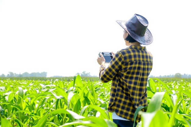 Fazendeira asiática em camisa listrada pilotando um drone em um campo de milho