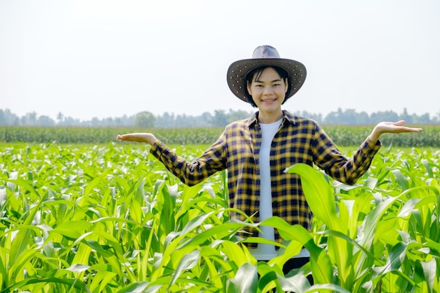 Fazendeira asiática em camisa listrada posando no campo de milho