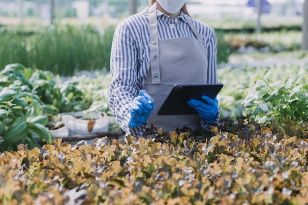 Fazendeira trabalhando cedo na fazenda segurando cesta de madeira de legumes frescos e tabletx9