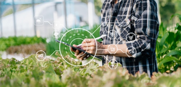 Fazendeiro asiático usando tablet digital inspecionando vegetais frescos em fazenda orgânica Tecnologia agrícola e conceito de agricultura inteligentexA