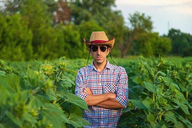 Foto fazendeiro de girassóis de campo no campo foco seletivo