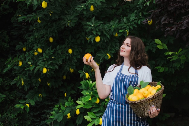 Fazendeiro de linda garota feliz coleta uma colheita de limões em um anúncio de cesta de limonada