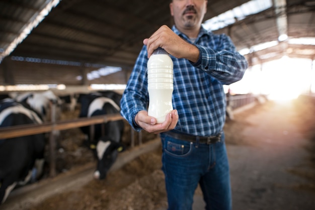 Fazendeiro de pé na fazenda da vaca e segurando uma garrafa de leite fresco, enquanto as vacas comem feno. Produção de leite e laticínios.