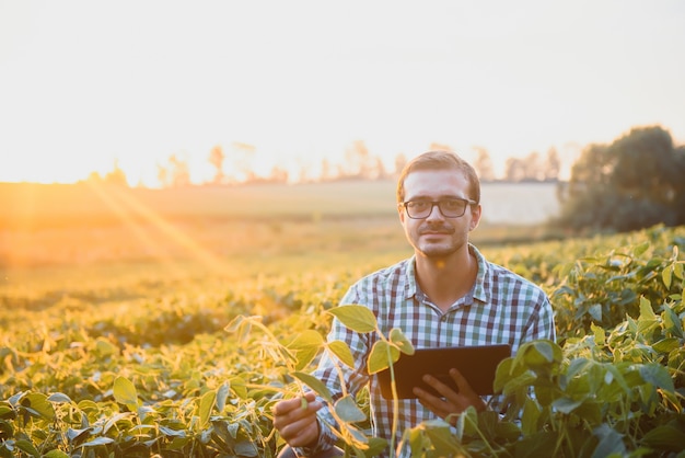 Fazendeiro em campos de soja. crescimento ao ar livre.