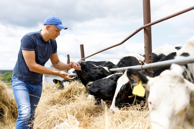 Fazendeiro em fazenda com vaca leiteira