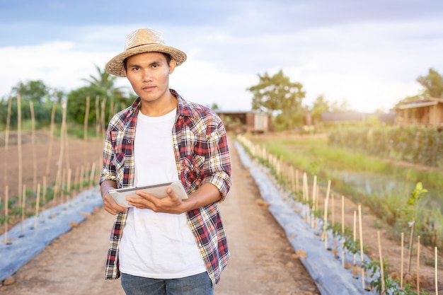 Fazendeiro esperto asiático que guarda a tabuleta em sua exploração agrícola orgânica.