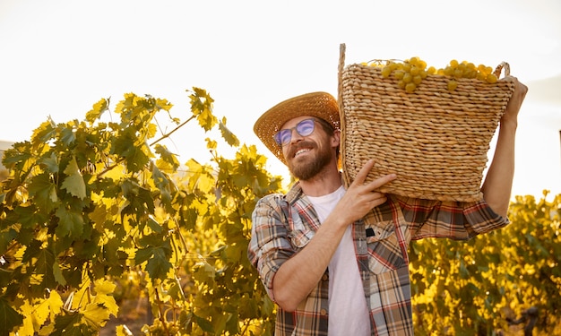 Fazendeiro feliz carregando uma cesta com uvas