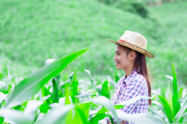 Fazendeiro fêmea novo que trabalha no campo e que verifica plantas, agricultura e conceito vivo saudável