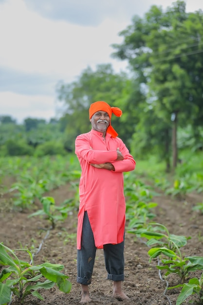 Fazendeiro indiano feliz em pé e sorrindo para o campo