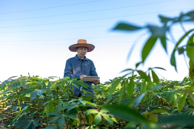 Fazendeiro inteligente um homem asiático usa um tablet para analisar as safras que cultiva em sua fazenda durante o dia.