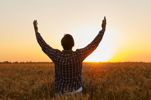 Foto fazendeiro, jovem e bonito fazendeiro parado no campo de trigo, olhando para o pôr do sol, ergueu as mãos em direção ao sol