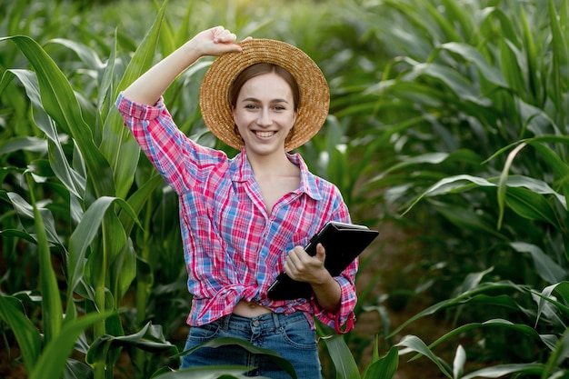 Fazendeiro ou agrônomo inspeciona um campo de espigas de milho. O conceito de negócio agrícola. Agrônomo com tablet verifica as espigas de milho.