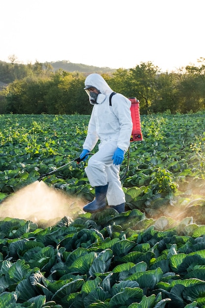 Fazendeiro que pulveriza pesticida, máscara de campo, produto químico protetor de colheita