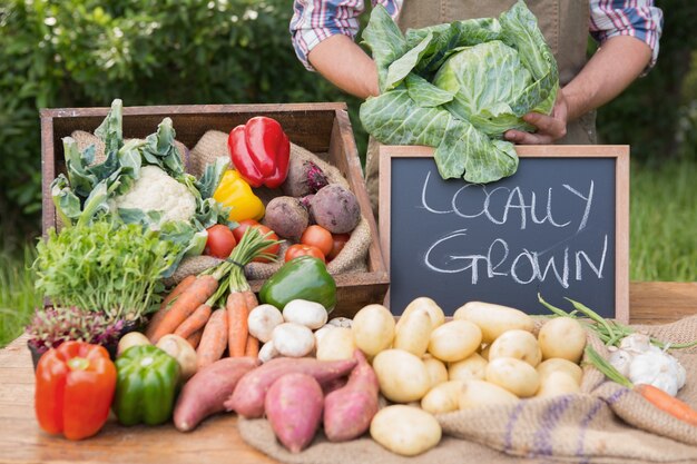 Fazendeiro que vende frutas orgânicas no mercado