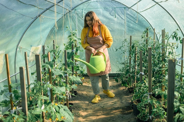 Fazendeiro regando planta de tomate orgânico em vegetais orgânicos cultivados em casa com efeito de estufa cuidando de casa