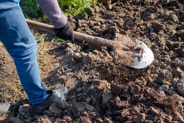 Fazendeiro trabalhando em um jardim. Trabalhando com uma pá. desenterrar o solo. Plante uma safra.